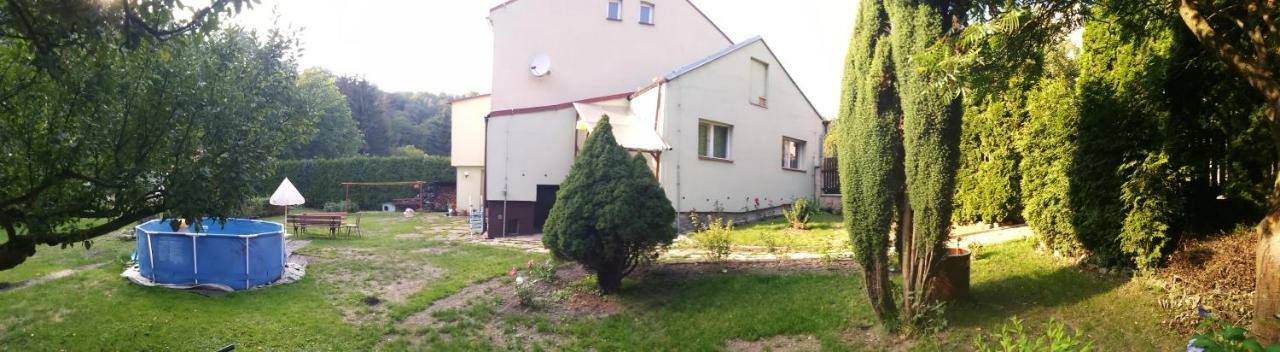 Apartment U Šárky Loket Kültér fotó