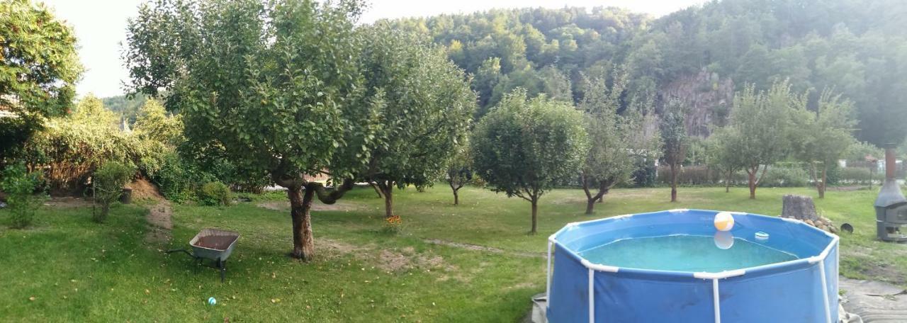 Apartment U Šárky Loket Kültér fotó