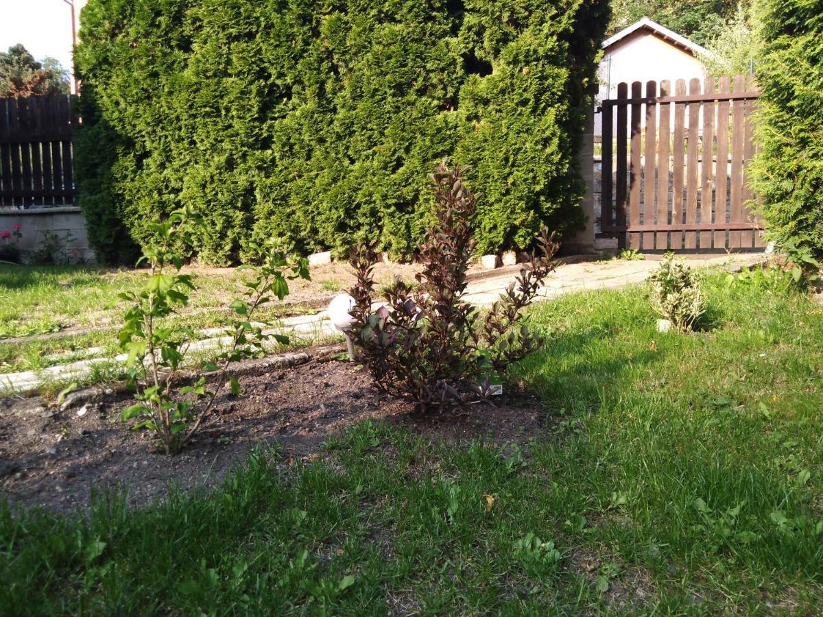 Apartment U Šárky Loket Kültér fotó