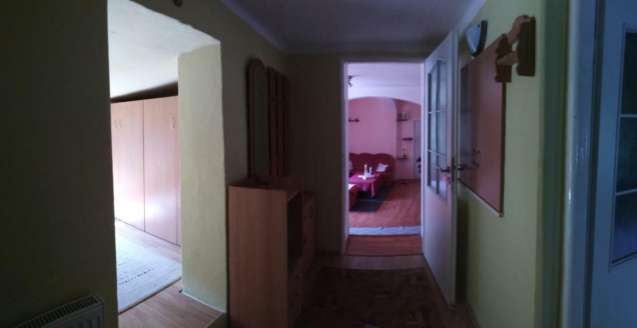 Apartment U Šárky Loket Kültér fotó